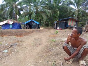 Dugaan Pemalsuan Surat Jual Beli Lahan Transmigrasi 23 Hektare di Lahat Masuk Ranah Hukum